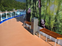 Majestic Princess Jogging Track picture