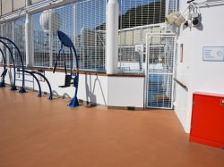 Majestic Princess Princess Sports Central picture