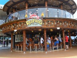 Red Frog Tiki Bar picture