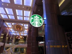 Odyssey of the Seas Starbucks picture