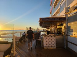 Carnival Mardi Gras Watering Hole picture