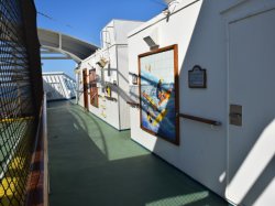 Emerald Princess Center Court picture