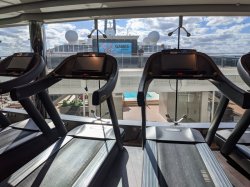 MSC Meraviglia MSC Gym by Technogym picture