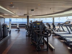 MSC Meraviglia MSC Gym by Technogym picture