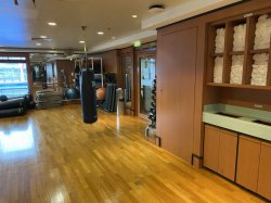 Norwegian Gem Fitness Center picture