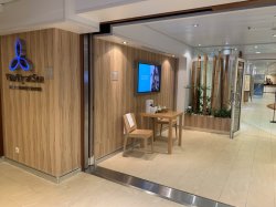 Oasis of the Seas Vitality at Sea Spa & Fitness Center picture