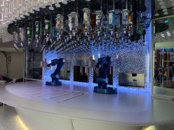 Oasis of the Seas Bionic Bar picture