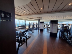 MSC Meraviglia MSC Gym by Technogym picture