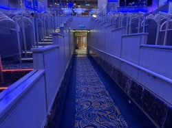 Regal Princess Princess Theater picture