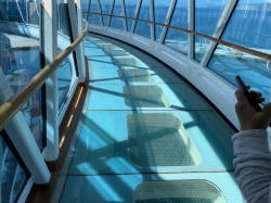 Regal Princess SeaWalk picture