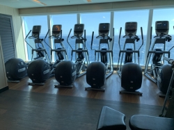 Regal Princess Fitness Center picture