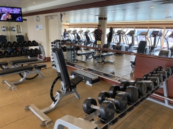 Norwegian Pearl Fitness Center picture