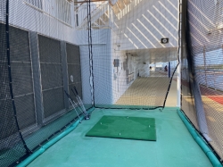 Norwegian Pearl Golf Net picture