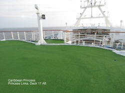 Caribbean Princess Princess Links picture