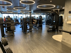 MSC Gym picture