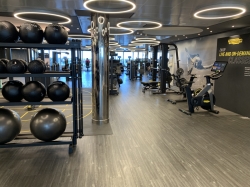 MSC Gym picture