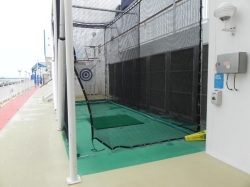 Norwegian Pearl Golf Net picture