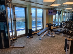 Sapphire Princess Fitness Center picture