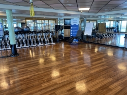 Sapphire Princess Fitness Center picture