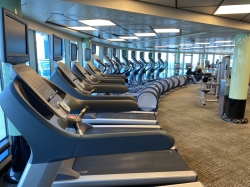 Sapphire Princess Fitness Center picture