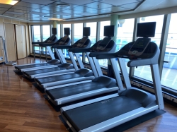 Sapphire Princess Fitness Center picture