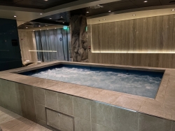 MSC Aurea Spa picture