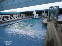 Zuiderdam Lido Pool picture