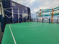 Basketball Court picture