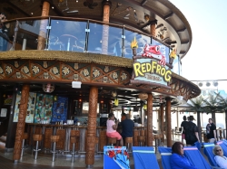 Red Frog Tiki Bar picture