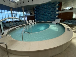 Celebrity Edge Solarium picture