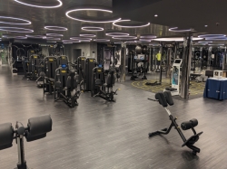 MSC Gym picture