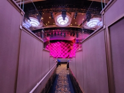 Regal Princess Princess Theater picture