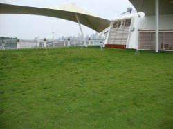 Celebrity Solstice The Lawn Club picture