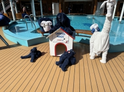 Carnival Magic Beach Pool picture