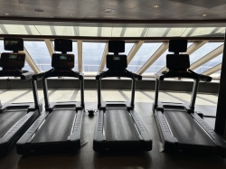 Carnival Magic Fitness Center picture