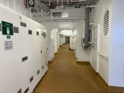 Rotterdam Promenade Deck picture