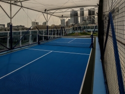 Paddle Tennis picture