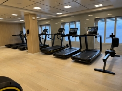 Viking Mars Fitness Center picture