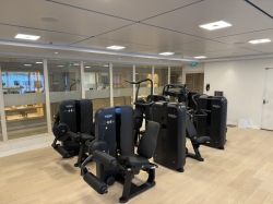 Viking Mars Fitness Center picture