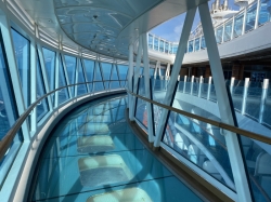 Regal Princess SeaWalk picture