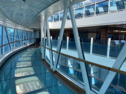 Regal Princess SeaWalk picture