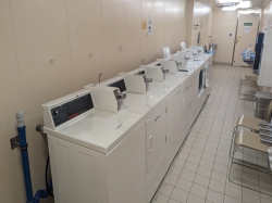 Regal Princess Laundromat picture