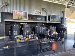 The Hot Glass Show picture