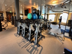 Crystal Serenity Fitness Center picture