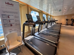 Crystal Serenity Fitness Center picture