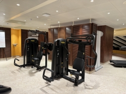 Carnival Venezia Fitness Center picture