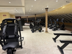 Carnival Venezia Fitness Center picture