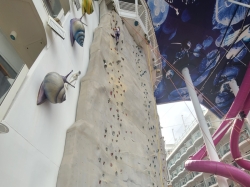 Rock Climbing Wall picture