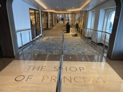 Shops of Princess Deck 7 picture