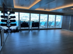 Sun Princess Wellness Studio picture